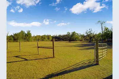 7008 Hunt Road, Groveland, FL 34736 - Photo 36