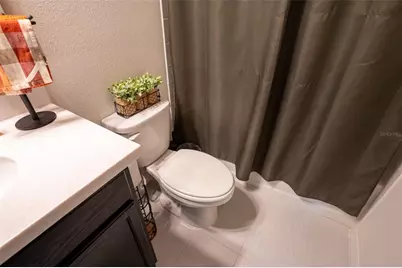 9860 Aurea Moss Lane, Orlando, FL 32832 - Photo 46