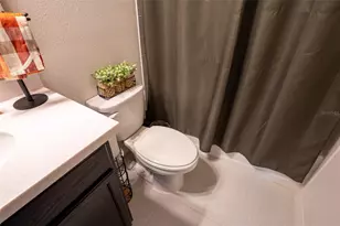 9860 Aurea Moss Ln, Orlando, FL 32832 - Photo 46