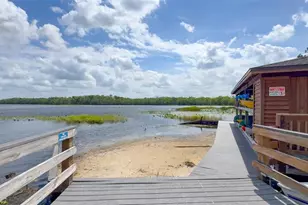 6829 Sundrop St, Harmony, FL 34773 - Photo 68