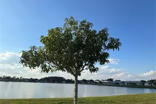 2652 Hawthorne Ln, Kissimmee, FL 34743 - Photo 36