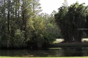 13548 Turtle Marsh Loop, Orlando, FL 32837 - Photo 24