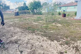 2337 Laura St, Lake Wales, FL 33898 - Photo 32