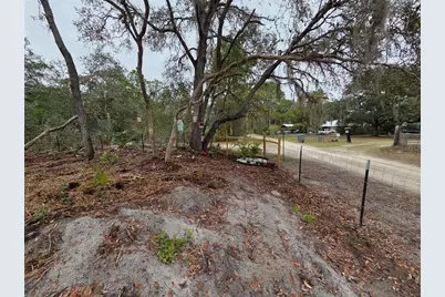 Cooter Pond Road, Deland, FL 32720 - Photo 10