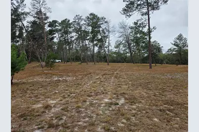 Cooter Pond Road, Deland, FL 32720 - Photo 6