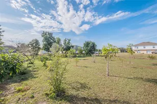 195 Aureila Ct, Kissimmee, FL 34758 - Photo 1