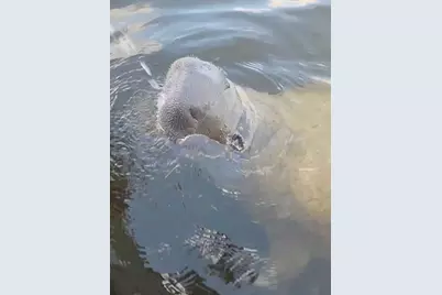 1210 S Maryknoll Road, Englewood, FL 34223 - Photo 36