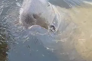 1210 S Maryknoll Rd, Englewood, FL 34223 - Photo 36