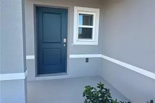 3340 Pine Lily Ave, Kissimmee, FL 34759 - Photo 8