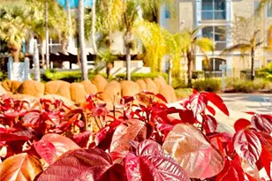 8834 Dunes Ct, Kissimmee, FL 34747 - Photo 46