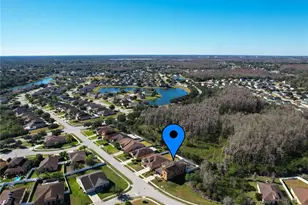 2717 Eagle Cliff Dr, Kissimmee, FL 34746 - Photo 54