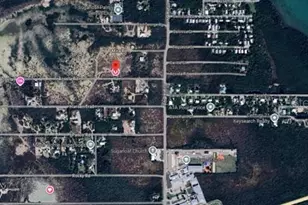 Acosta Trail, Sugarloaf Key, FL 33042 - Photo 1