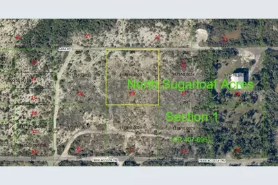 Mira Road, Sugarloaf Key, FL 33042 - Photo 2