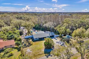 6124 Lynn Rd, Tampa, FL 33625 - Photo 20