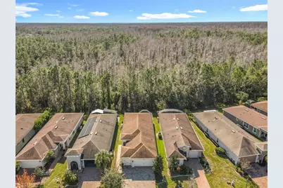 572 Presido Park Place, Kissimmee, FL 34759 - Photo 46