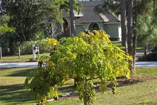 17927 77th Ln N, Loxahatchee, FL 33470 - Photo 6