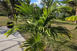 17927 77th Ln N, Loxahatchee, FL 33470 - Photo 12