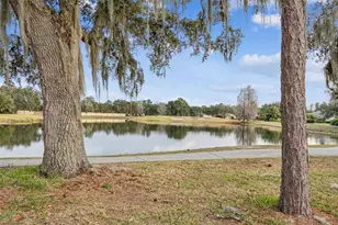 305 Rock Springs Dr, Kissimmee, FL 34759 - Photo 44