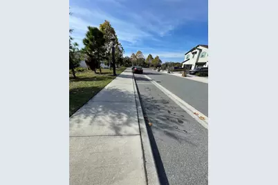 3182 Armstrong Spring Drive, Kissimmee, FL 34744 - Photo 70