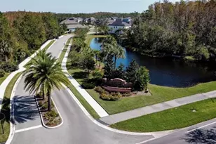 6246 English Hollow Rd, Tampa, FL 33647 - Photo 40