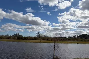 6952 Audobon Osprey Cv, Harmony, FL 34773 - Photo 16