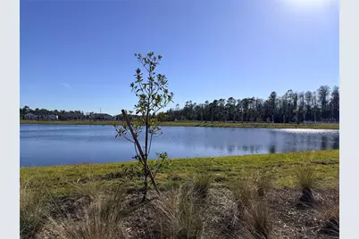 9948 Red Canoe Alley, Orlando, FL 32832 - Photo 52