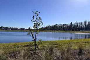 9948 Red Canoe Aly, Orlando, FL 32832 - Photo 52