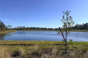 9948 Red Canoe Aly, Orlando, FL 32832 - Photo 50