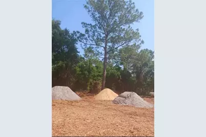 Lake Marion Creek Road, Haines City, FL 33844 - Photo 4