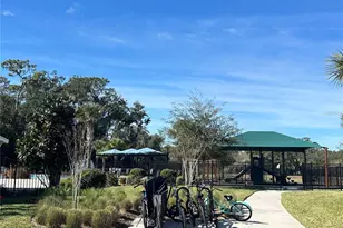 2946 Canary Ave, Davenport, FL 33837 - Photo 48