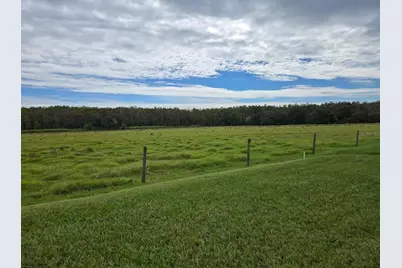 3337 Perennial Ln, Kissimmee, FL 34746 - Photo 14