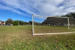 907 Columbia St, Orlando, FL 32805 - Photo 22