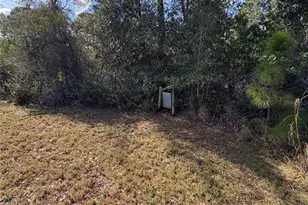 1297 Pfundstein Rd, Babson Park, FL 33827 - Photo 60