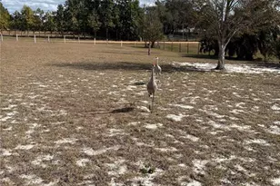 1297 Pfundstein Rd, Babson Park, FL 33827 - Photo 50