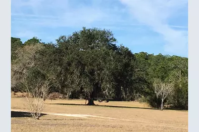 1297 Pfundstein Road, Babson Park, FL 33827 - Photo 64