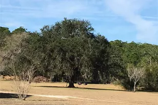 1297 Pfundstein Rd, Babson Park, FL 33827 - Photo 64