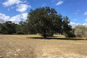 1297 Pfundstein Rd, Babson Park, FL 33827 - Photo 4