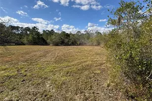 1297 Pfundstein Rd, Babson Park, FL 33827 - Photo 60