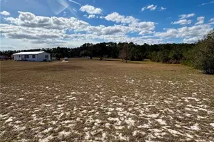 1297 Pfundstein Rd, Babson Park, FL 33827 - Photo 46