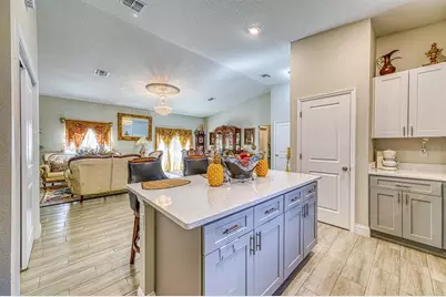 229 Starling Court, Kissimmee, FL 34759 - Photo 16