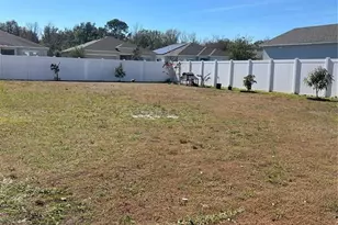 206 Amber Way, Kissimmee, FL 34758 - Photo 52