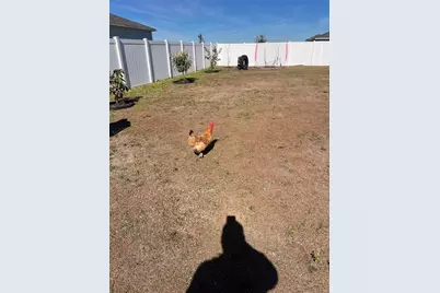 206 Amber Way, Kissimmee, FL 34758 - Photo 56