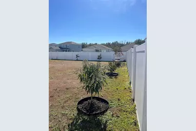 206 Amber Way, Kissimmee, FL 34758 - Photo 54