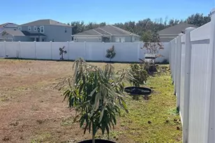 206 Amber Way, Kissimmee, FL 34758 - Photo 54