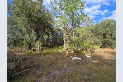 211 Starling Court, Kissimmee, FL 34759 - Photo 2