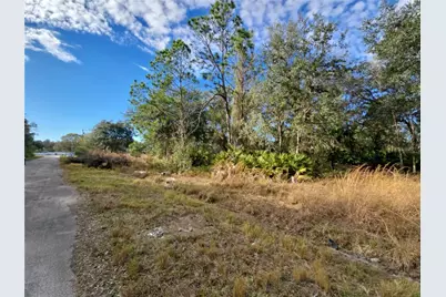 211 Starling Court, Kissimmee, FL 34759 - Photo 4