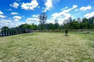 17547 Saw Palmetto Ave, Clermont, FL 34714 - Photo 16