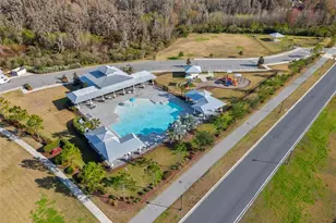 10188 Agave Ct, Land O Lakes, FL 34638 - Photo 54