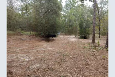 0, Bronson, FL 32621 - Photo 1