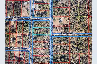 0, Bronson, FL 32621 - Photo 2